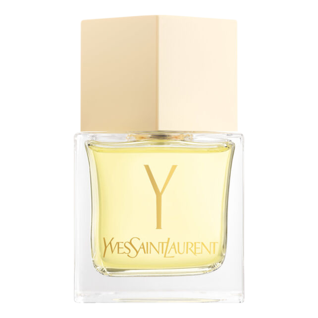 Y by Ysl