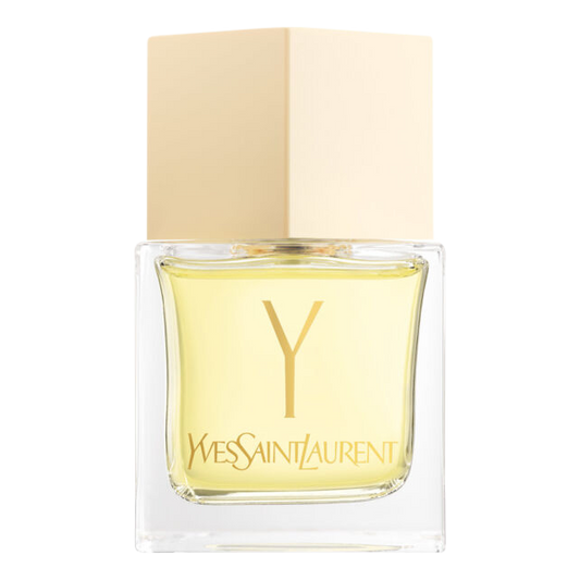 Y BY YSL