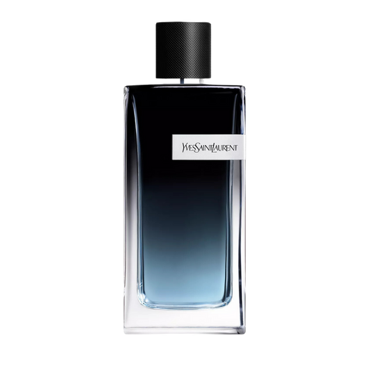 Y BY YSL