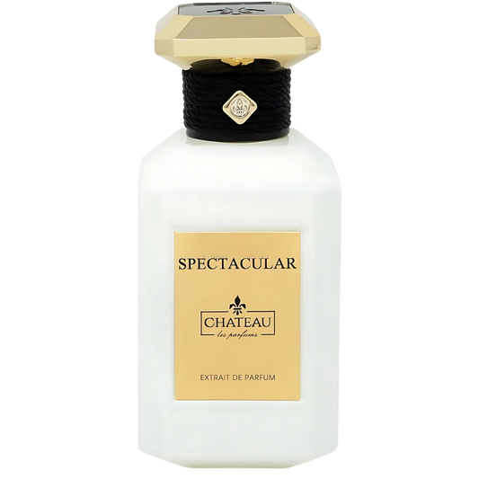 CHATEAU SPECTACULAR EXTRAIT