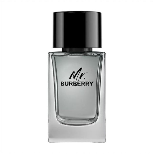 MR. BURBERRY - Men Fragrances